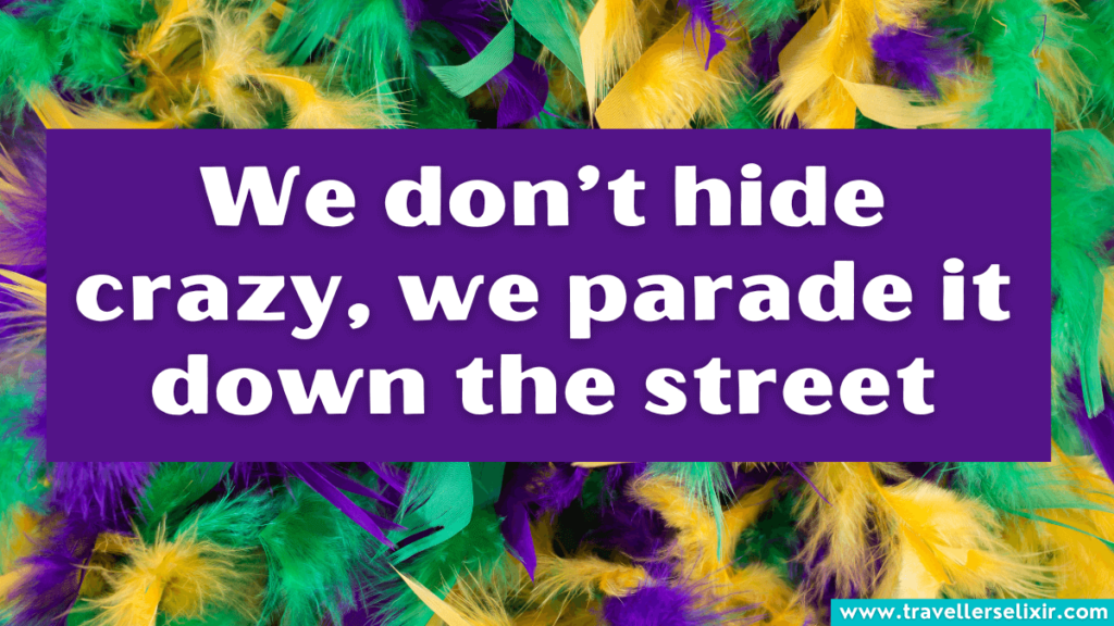 Funny Mardi Gras caption for Instagram - We don’t hide crazy, we parade it down the street