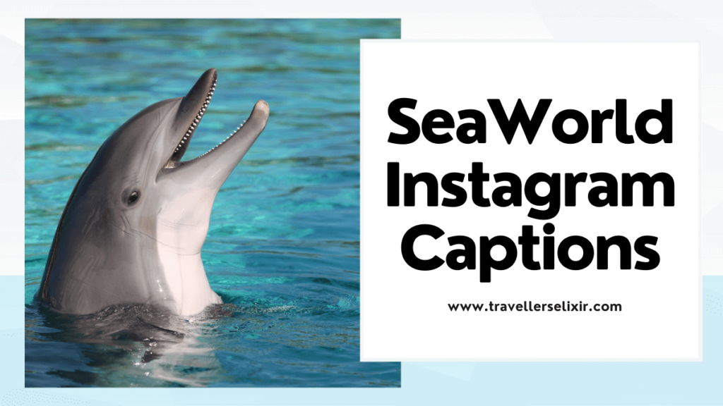 Best SeaWorld Instagram captions - featured image