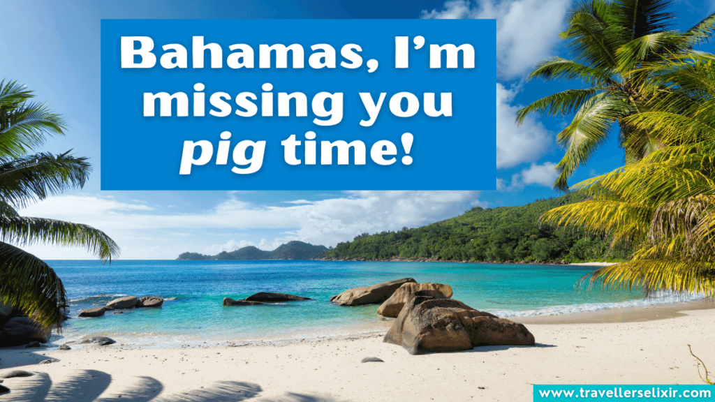 Funny Bahamas pun - Bahamas, I’m missing you pig time!