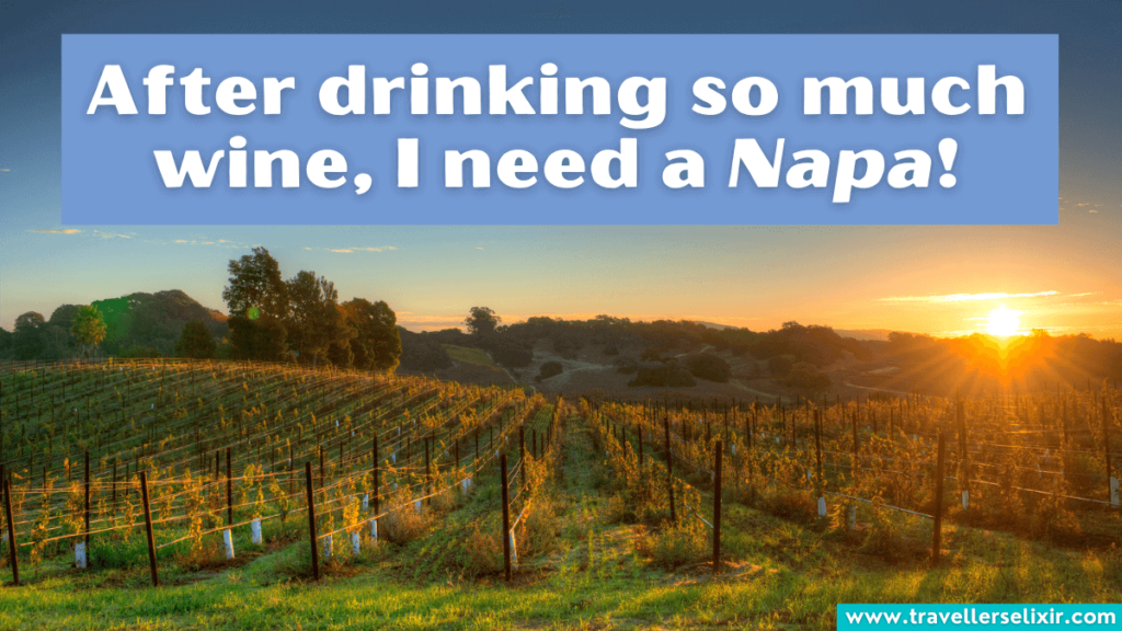 Funny Napa pun - After drinking so much wine, I need a Napa!