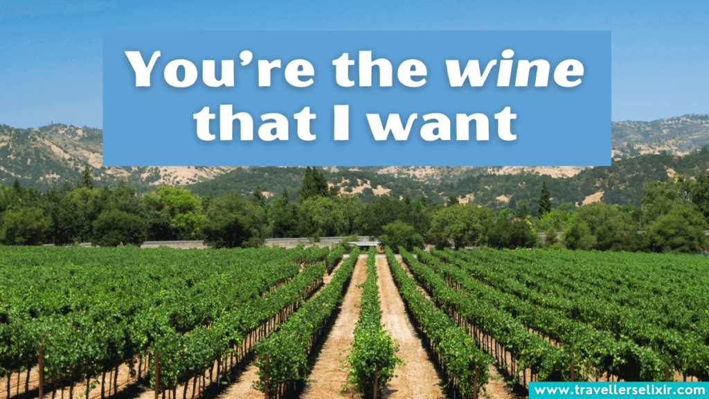 Funny Napa Valley pun - You’re the wine that I want