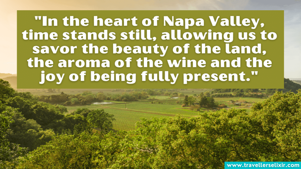 Napa Valley quote - "In the heart of Napa Valley, time stands still, allowing us to savor the beauty of the land, the aroma of the wine and the joy of being fully present."