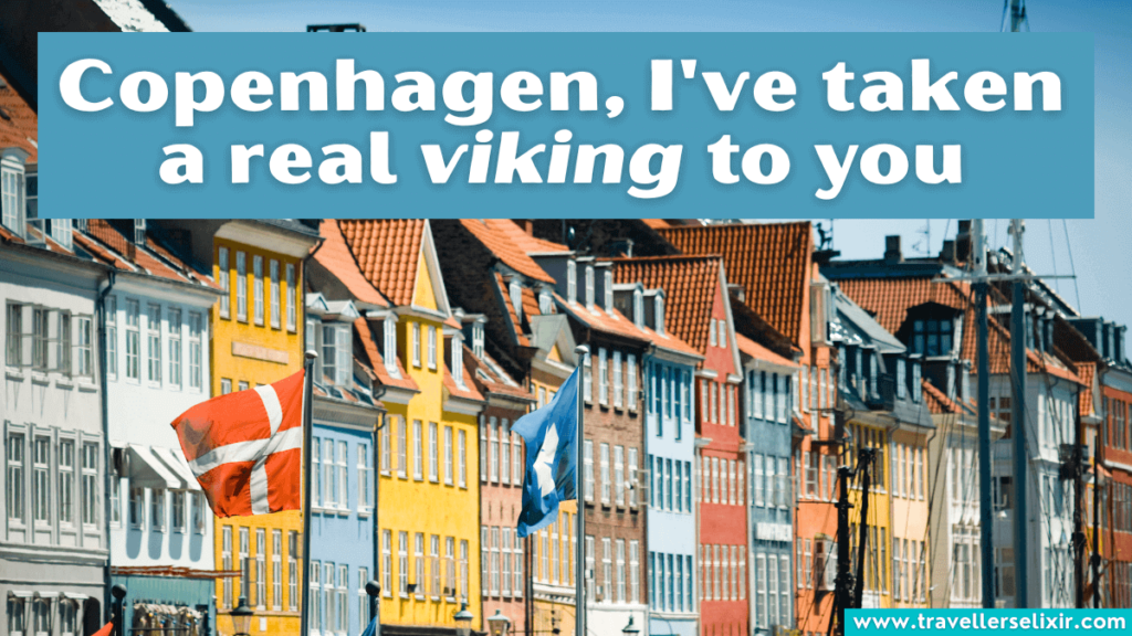 Funny Copenhagen pun - Copenhagen, I've taken a real viking to you