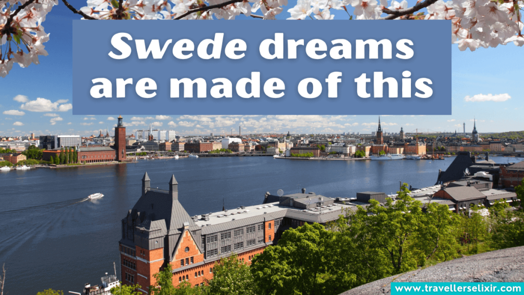 Funny Stockholm pun - Swede dreams are made of this