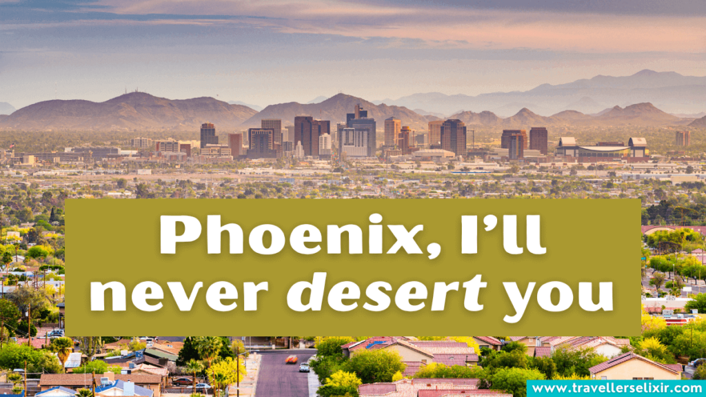 Funny Phoenix Arizona pun - Phoenix, I’ll never desert you