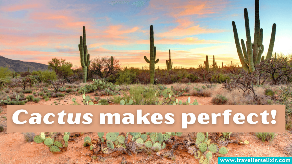 Funny Phoenix Arizona pun - Cactus makes perfect!