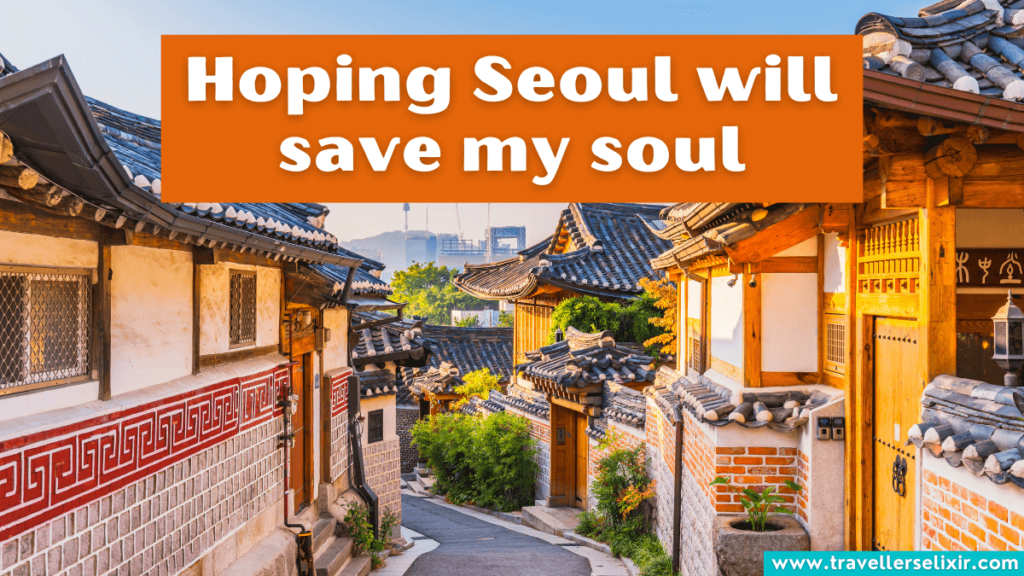 Cute South Korea Instagram caption - Hoping Seoul will save my soul