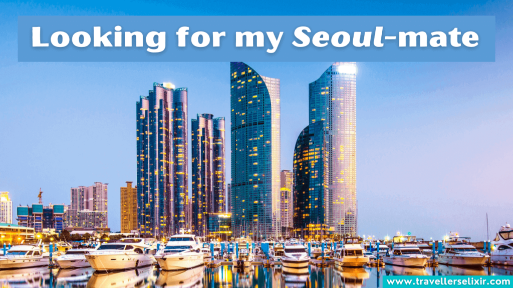 Funny Seoul, South Korea pun - Looking for my Seoul-mate
