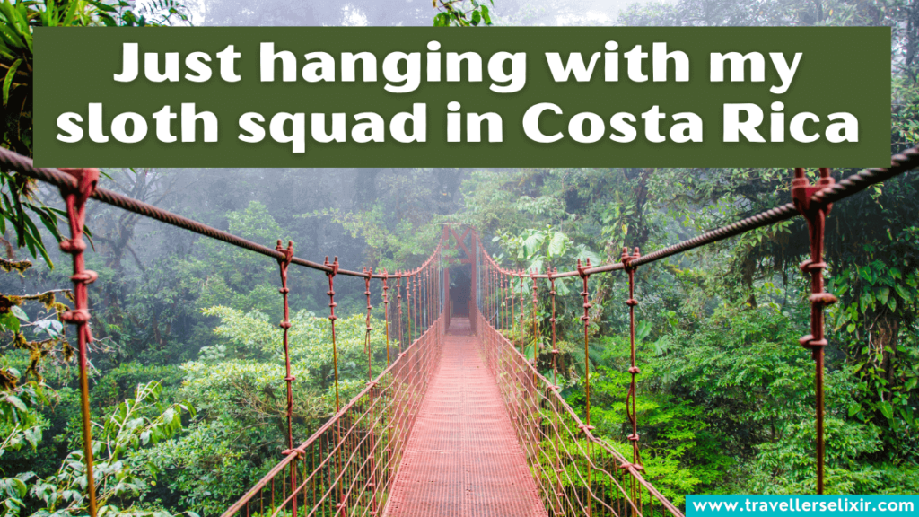 Funny Costa Rica caption for Instagram - Just hanging with my sloth squad in Costa Rica