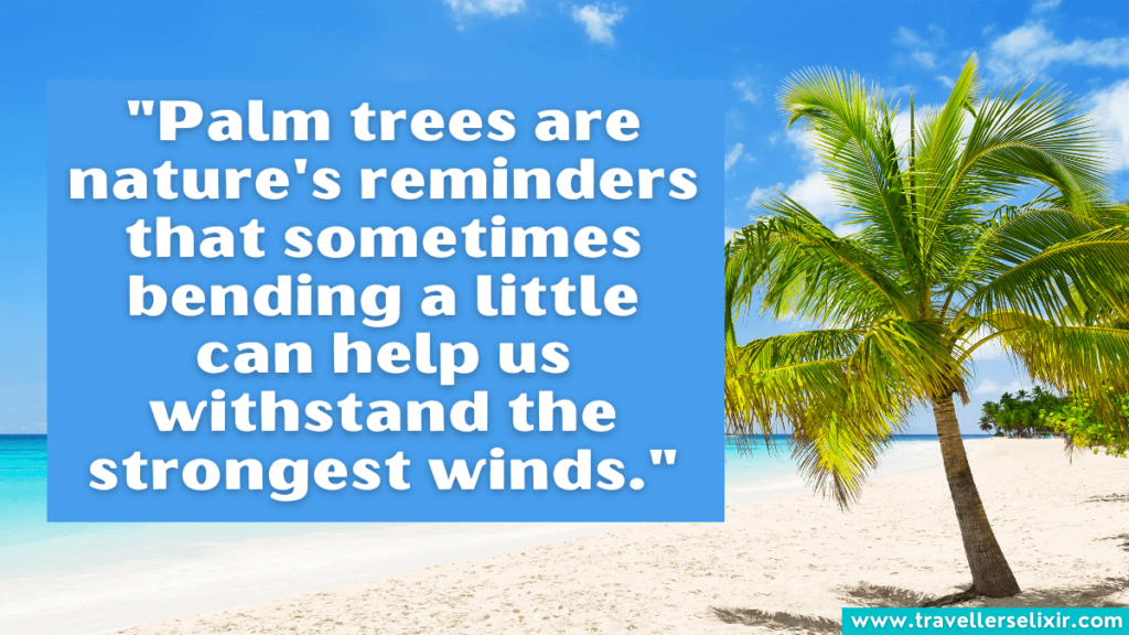 Quote about palm trees - "Palm trees are nature's reminders that sometimes bending a little can help us withstand the strongest winds."