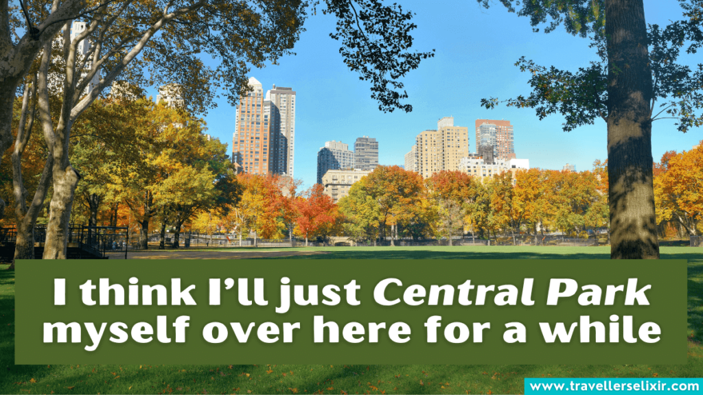 Central Park pun - I think I’ll just Central Park myself over here for a while