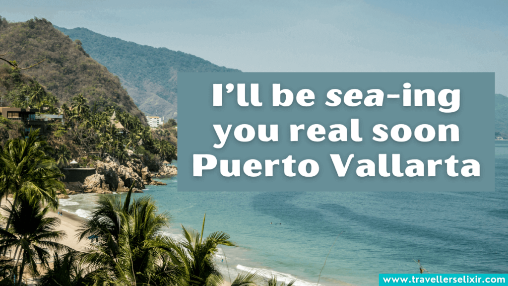 Funny Puerto Vallarta pun - I’ll be sea-ing you real soon Puerto Vallarta