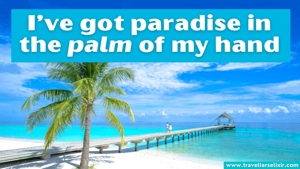 Funny palm tree pun - I’ve got paradise in the palm of my hand