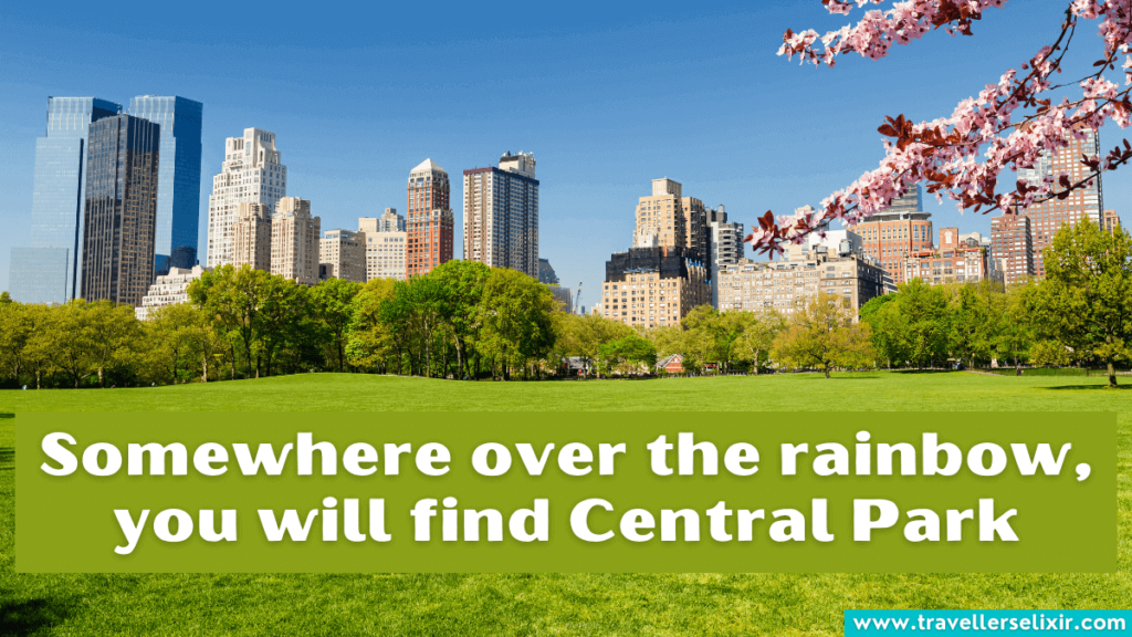 Cute Central Park Instagram caption - Somewhere over the rainbow, you will find Central Park