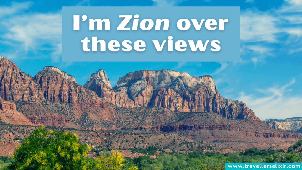 Funny Zion National Park pun - I’m Zion over these views