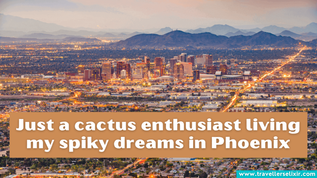 Cute Phoenix Arizona caption for Instagram - Just a cactus enthusiast living my spiky dreams in Phoenix