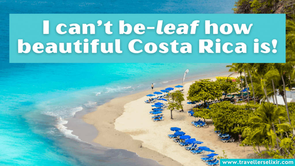 Funny Costa Rica pun - I can’t be-leaf how beautiful Costa Rica is!