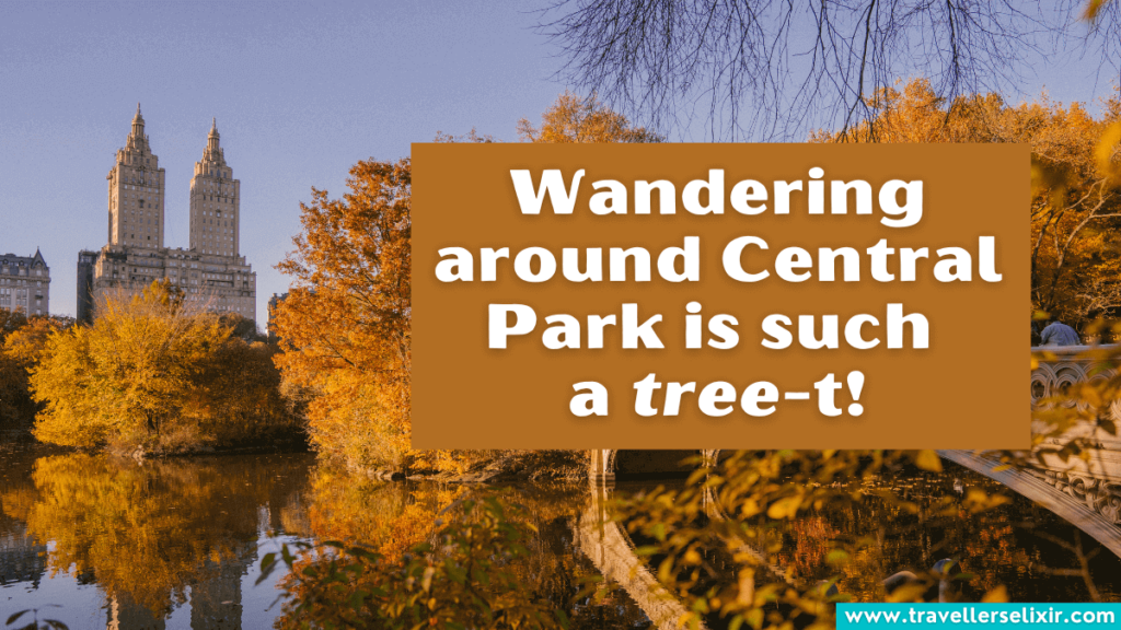 Funny Central Park pun - Wandering around Central Park is such
a tree-t!