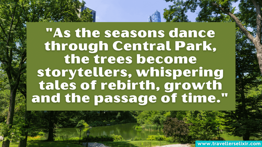 Quote about Central Park -"As the seasons dance through Central Park, the trees become storytellers, whispering tales of rebirth, growth and the passage of time." 
