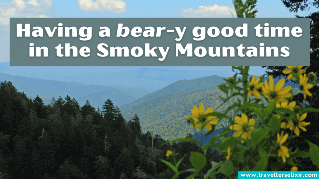 Funny Smoky Mountains pun - Having a bear-y good time in the Smoky Mountains