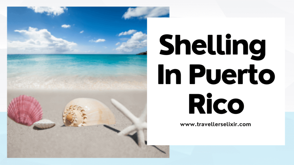 shelling in Puerto Rico - featured image