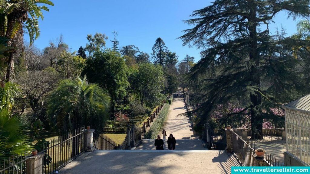 Botanic Garden in Coimbra.