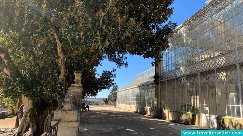 Large greenhouse within the Botanical Garden at Coimbra University.