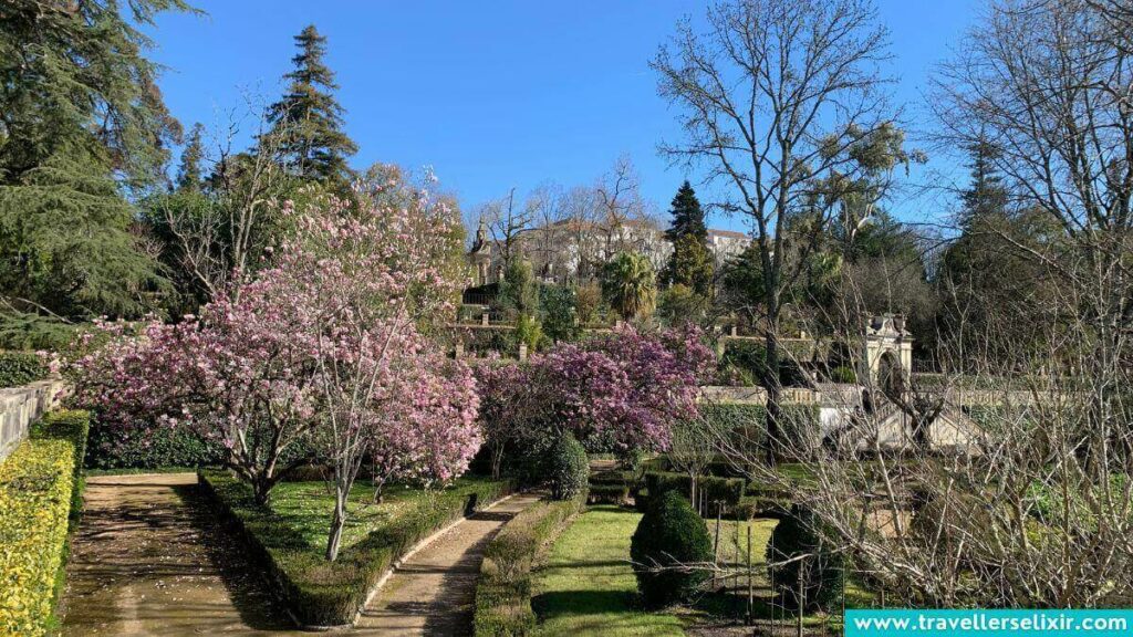 The Botanical Garden at the University of Coimbra.