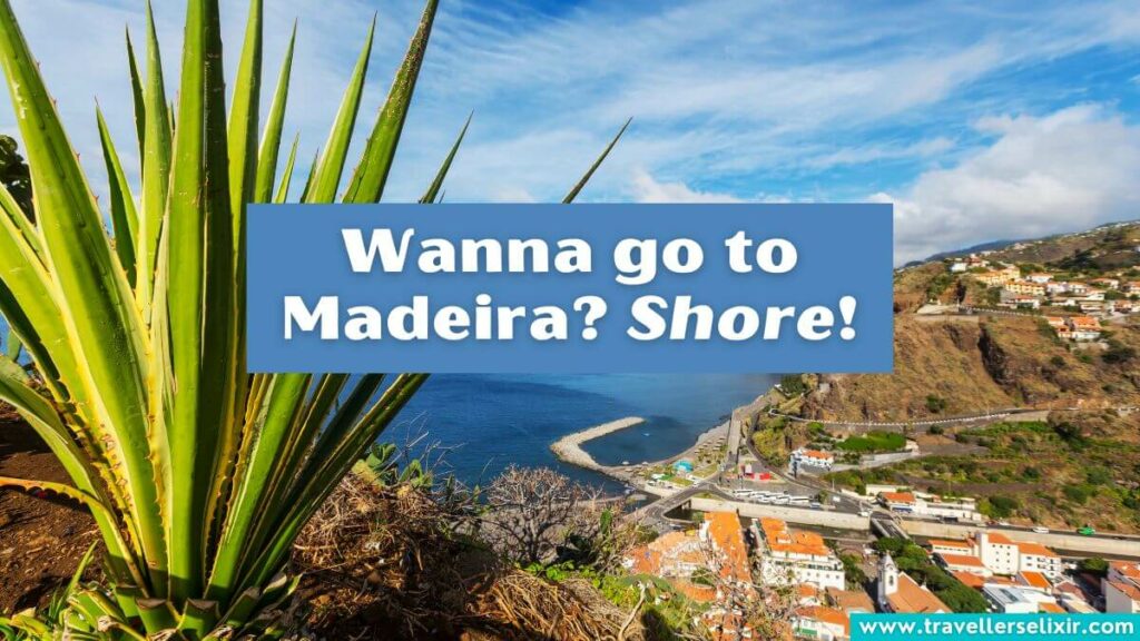 Photo of Madeira with caption - Wanna go to Madeira? Shore!