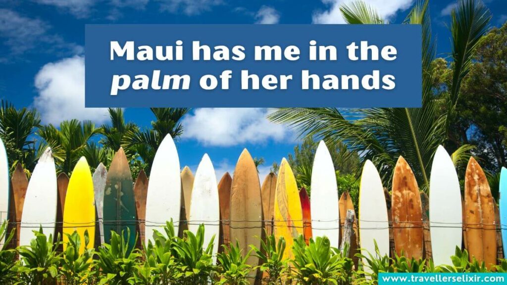 Photo of Maui with caption - Maui has me in the palm of her hands