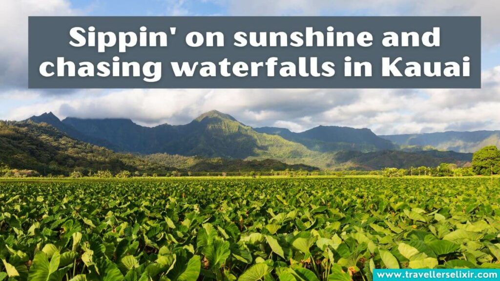 Photo of Kauai with caption - Sippin' on sunshine and chasing waterfalls in Kauai