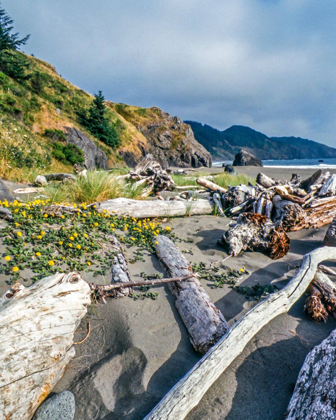 13 Underrated California Beaches That Locals Love!
