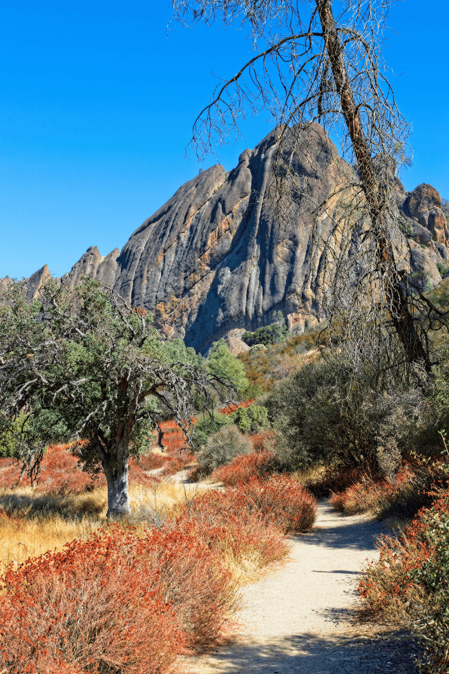Balconies trail pinnacles national park