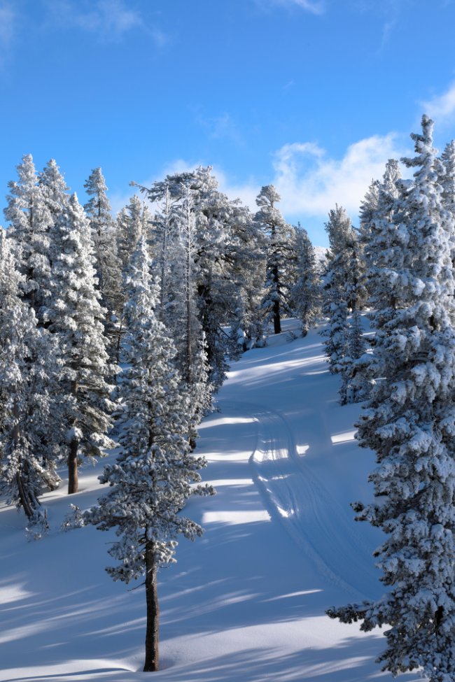 Heavenly Valley, Ski Resort at South Lake Tahoe 2