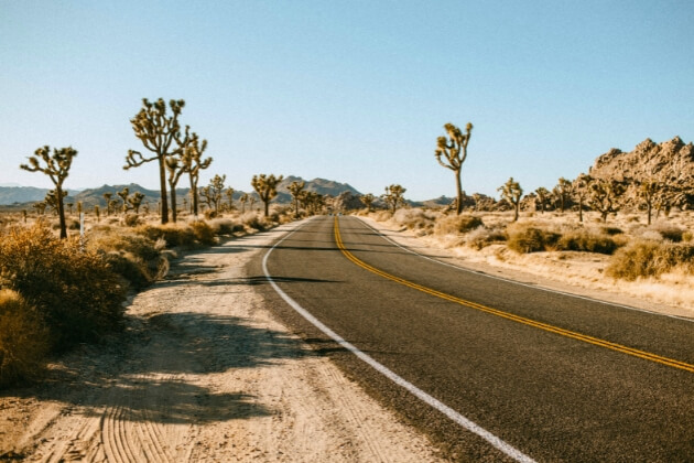 Joshua Tree National Park 