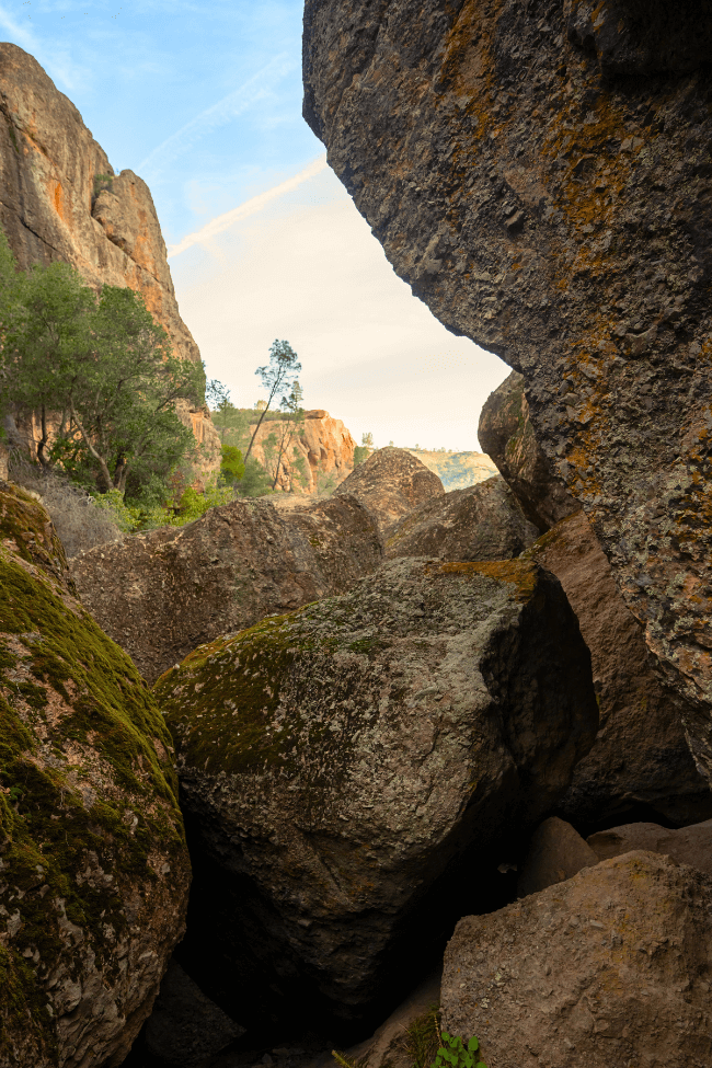 Moss Growing of Boulder Pile at Bear Gulch Cave pinnacles national park Moss Growing of Boulder Pile at Bear Gulch Cave pinnacles national park