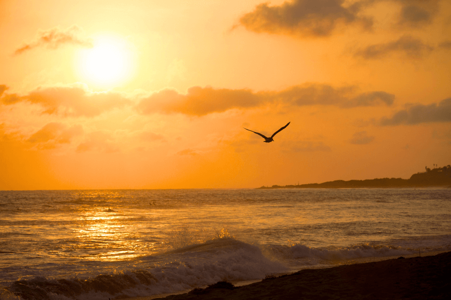 San Onofre State Beach sunset