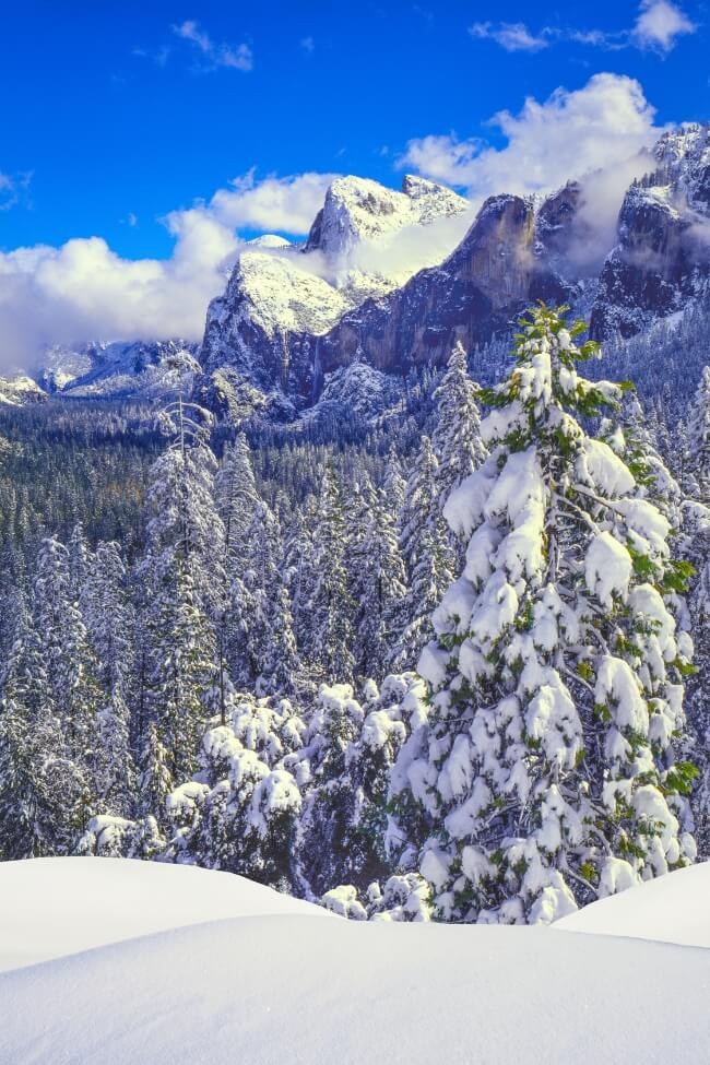 Winter snow in Yosemite National Park, CA 