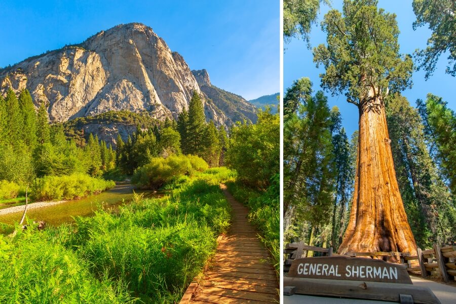 Zumwalt Meadow & General Sherman Tree, California