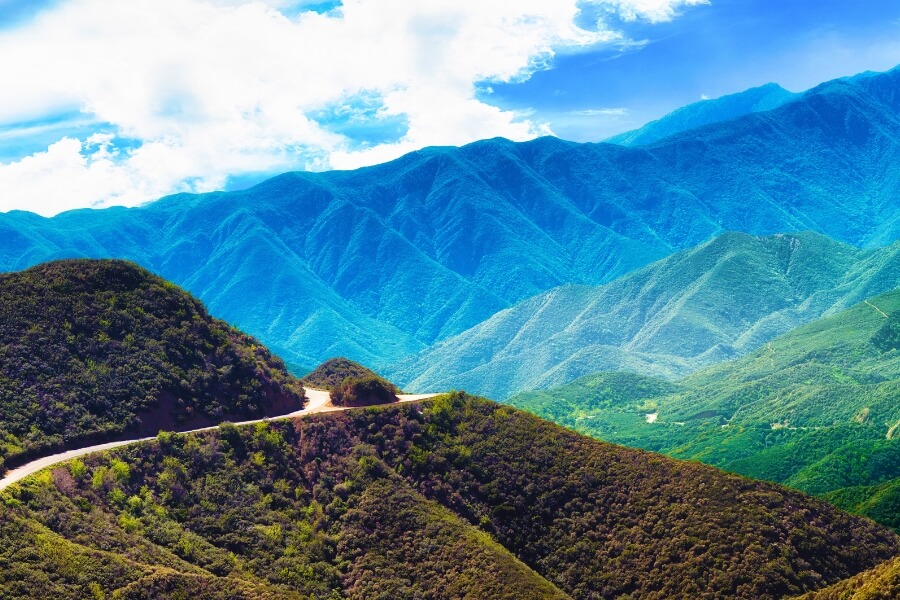 Los Padres national forest