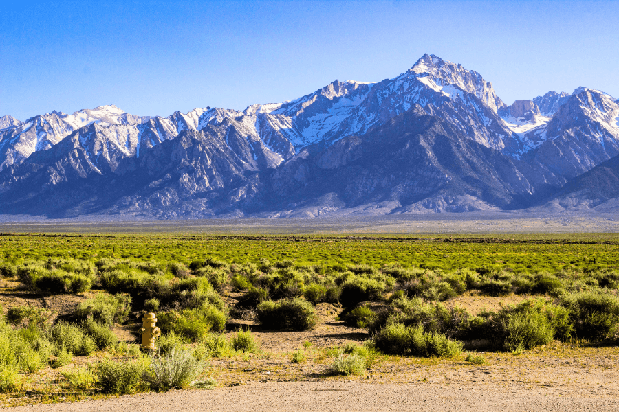 mount williamson california 