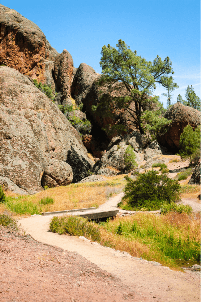 pinnacles-national-park-1
