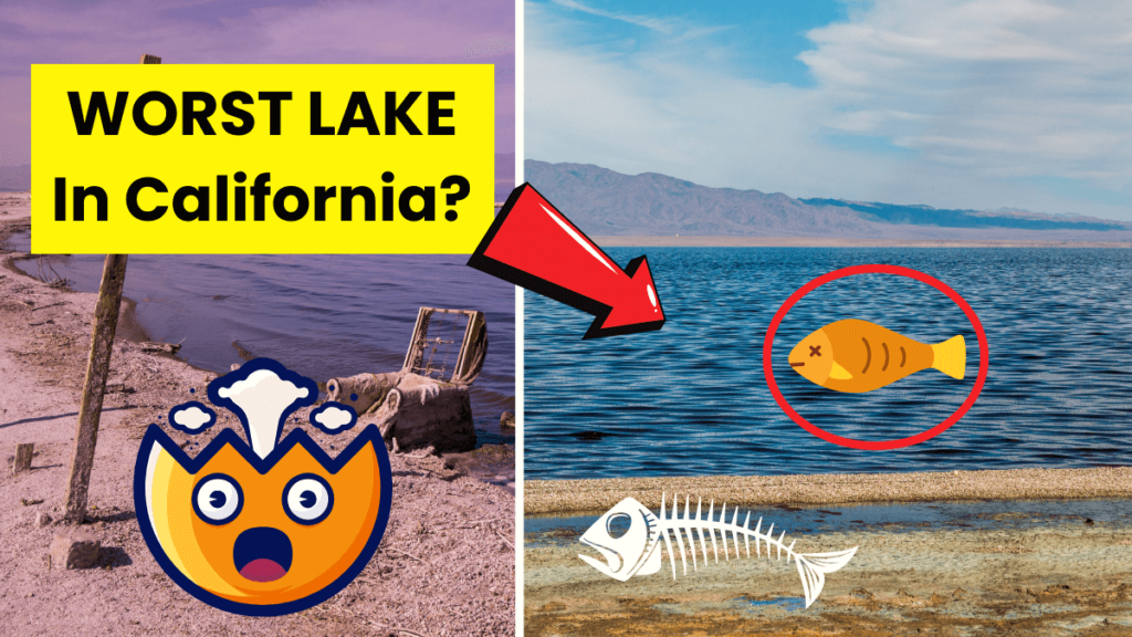 the worst lake in california featured image
