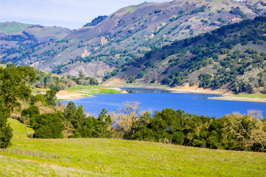 Coyote Lake Harvey Bear Ranch County Park