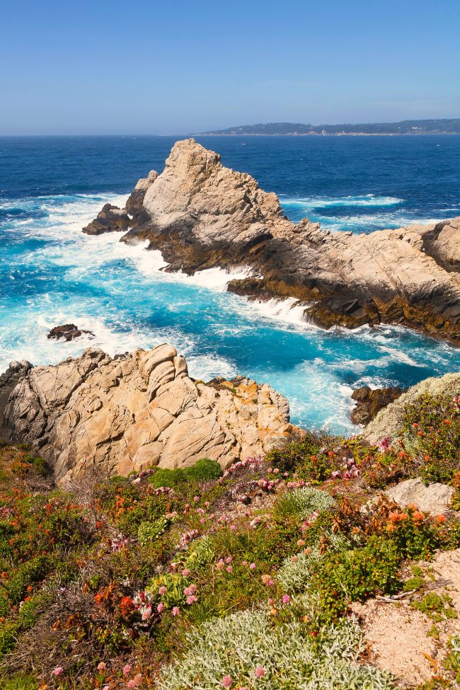 Point Lobos State Natural Reserve