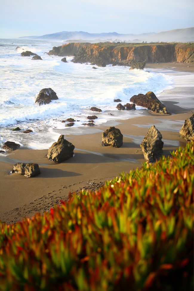 bodega bay california