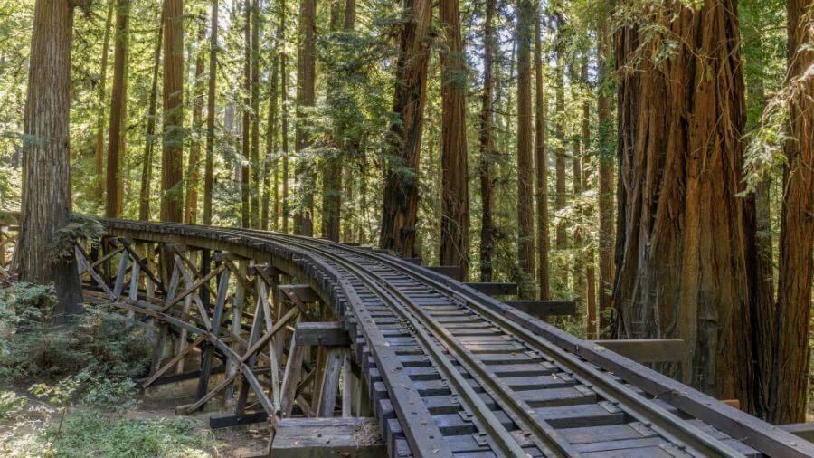 train cruise in california