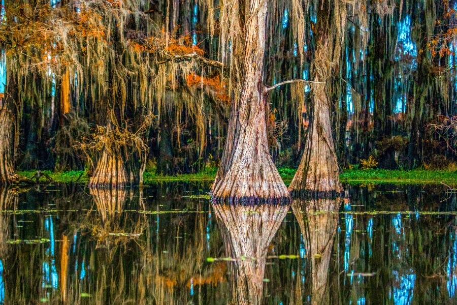 Caddo Lake in Autumn