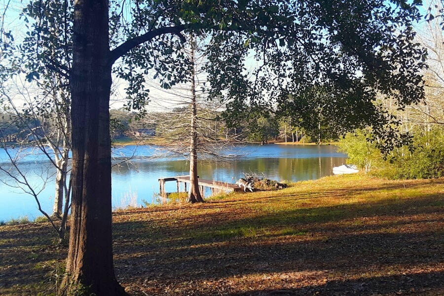 Lake O' the Pines 