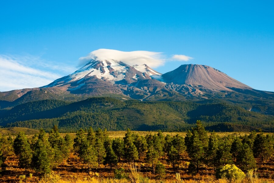 MOUNT SHASTA 